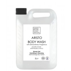 ARISTO αφρόλουτρο 5lt